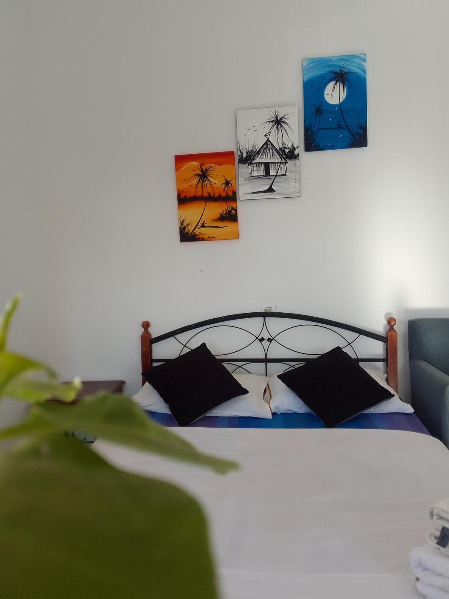 Ocean Surf Hostel *